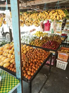 Colourful fruit market stall in Langkawi with hanging bananas and stacked produce, a stop on a cycling villages and markets tour