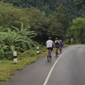Group cyclists riding along a quiet country road through greenery on a bike tour in Khao Sok National Park