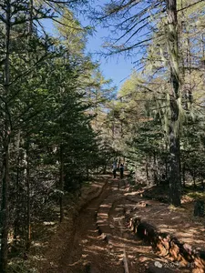 Hikers on a forest path through Tiger Leaping Gorge near Shangri-La, trekking on the 2D1N alpine lake route