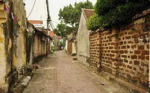 Cobblestone lane through Duong Lam ancient village near Hanoi, with brick walls and tiled rooftops stretching into the distance