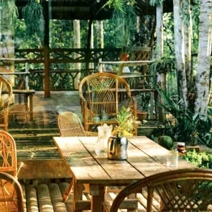 Rattan chairs around a wooden table with bottles and herbs on the veranda of Ngapuh Homestead, surrounded by bamboo, near Kuching