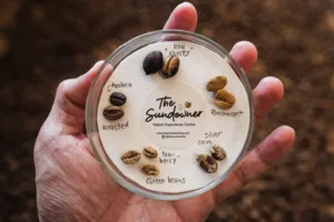 Hand holding a round coffee sample tin showing roast names and beans at a cupping session, workshops in Singapore