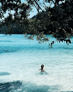 Swimmer wading in clear blue water off Surin Island, framed by tropical tree leaves in the foreground