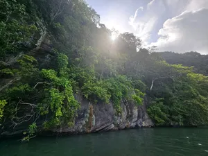 Sunlit limestone cliffs and dense jungle lining a calm bay in Langkawi during a UNESCO Geopark Cruise