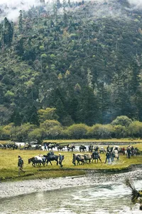 Caravan of pack animals and travellers walking along a river edge through a misty, forested mountain valley near Shangri-La