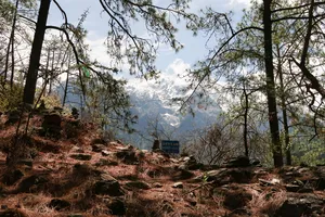 Steep trail through pine forest overlooking Tiger Leaping Gorge in Lijiang during a 2D1N high-hike with The Bivou