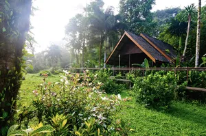 Thatched-roof riverside cottage surrounded by lush tropical gardens in Khao Sok, with sunbeams filtering through trees