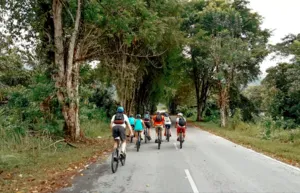 Group of cyclists riding a narrow rainforest road through dense trees near Kuching during a jungle cycling adventure