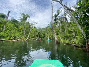 Boat ride across calm green jungle water, with paddlers in distant canoes and rainforest banks at Khao Sok National Park