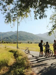 Cyclists pause on a quiet country road in Langkawi, with bikes beside tall grass under overhanging trees inland