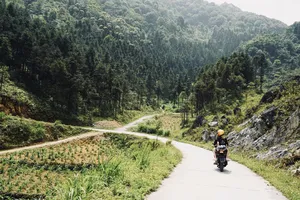 Mama's Easy Rider motorbike ride along a winding mountain road in Ha Giang, passing dense forest on a sunny day