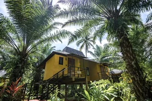 Anurak Lodge perched bungalow with veranda steps, surrounded by towering palms and tropical greenery in Khao Sok National Park