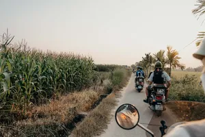 Rombongan motor bersama Hoi An Backroad Tours melintasi jalan pedesaan di antara ladang jagung dekat Hoi An saat matahari terbenam, Vietnam