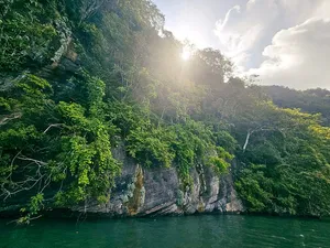 Sunlit rainforest and towering limestone cliffs along the water on Langkawi’s Tanjung Rhu UNESCO Geopark cruise