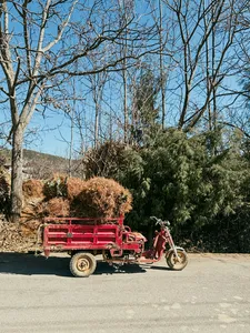 Motorbike with wooden side trailer on a quiet road through Lijiang countryside during a Yi & Naxi village trek