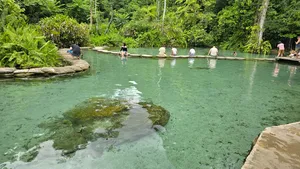 Swimmers wade in clear turquoise Blue Spring water with a log platform during a private swim in Khao Sok National Park