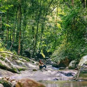 Quiet rainforest trail by stream in Gunung Raya, Langkawi during a herbalist-led gentle forest walk with Darulaman Sanctuary