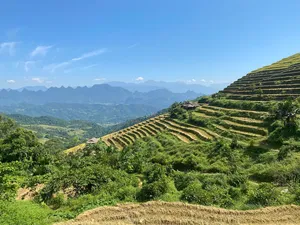 Ha Giang rice terraces winding across the hillsides during a trek through quiet Tay and Dao villages