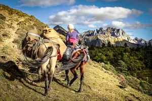 Packed mule caravan on a mountain track with riders in the distance, overlooking rugged valleys on a nomadic stay in Shangri-La