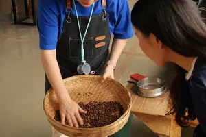 Family-run coffee workshop in Lijiang at Seeker Yunnan Coffee Estate, as a host fills a woven basket with beans