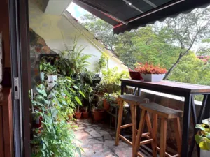 Taman teres dengan tanaman makanan berpasu di luar bengkel roti dan pencicah di Singapura, dengan kehijauan rimbun dan deretan pasu — bengkel di Singapura