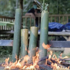 Flames from a bamboo fire pit at Anurak Lodge, creating a cosy campfire moment in the rainforest of Khao Sok National Park