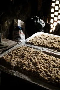 Trays of pale grains drying under skylight in a dim Hoi An artisan workshop during the early-before-it-wakes visit