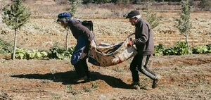 Local villagers carrying a woven bundle through a dry field on a Yi and Naxi village trek, Lijiang, Yunnan