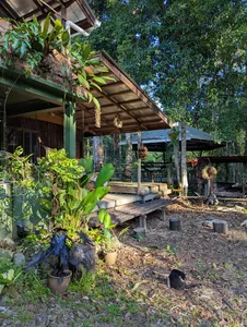 Raised wooden cabins and a veranda at Ngapuh Homestead, with garden beds in Kuchingβs regenerative rainforest