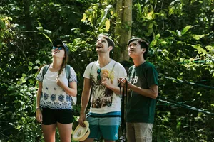 Herbalist show-and-tell on a gentle forest walk in Gunung Raya, Langkawi: three walkers examining leaves with Darulaman Sanctuary