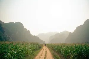 Dirt path through lush greenery flanked by karst hills in Phong Nha at sunrise, on a Greenland Tours 2D2N adventure
