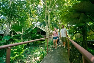 Two travellers walking along a wooden rainforest path at Khao Sok Riverside Cottages, surrounded by dense green canopy