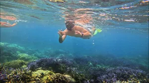 Seorang penyelam snorkel di bawah air memberi isyarat tangan di atas gugusan karang yang berwarna-warni di perairan cetek jernih Kepulauan Gili, di luar pantai Lombok