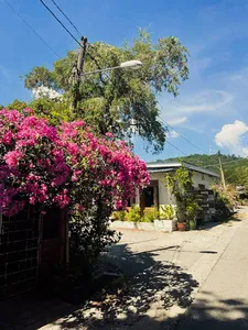 Sunny walkway in Langkawi village lined with pink bougainvillea, potted plants and a small rustic building