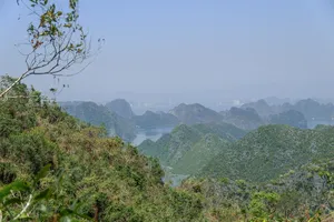 Panoramic view of Cat Ba’s karst mountains and a calm bay across the water, seen from a forested lookout above