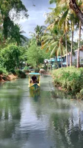 Bot menyusuri laluan bakau yang tenang, dengan deretan pokok palma di kedua-dua tebing ketika seorang pengembara mendayung di Labuan Bajo