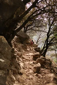 A hiker pauses on a tree-lined, stone trail on the Tiger Leaping Gorge high trail in Lijiang, framed by rocky cliffs