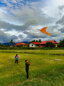 Orange kite flying over a grassy field near red-roof houses during a village cycling tour in Langkawi with Dev's Adventure Tours