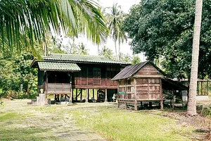 Traditional wooden village houses surrounded by greenery in Langkawi on a cycling route through villages and local communities