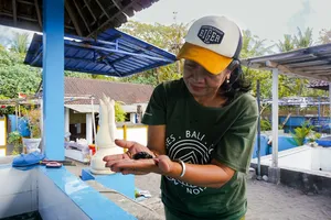 来自 Bali Conservation Adventures 的志愿者在巴厘岛的一处海龟孵化场小心地双手捧着一只海龟