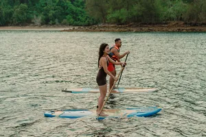 Travellers paddleboarding on calm water near a green shoreline from a Kota Kinabalu area sea cruise