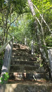 Steep stone steps through lush rainforest on the way to hidden pagodas and Blue Spring in Khao Sok National Park