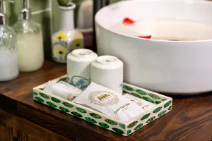 Toiletries and a tissue box on a wooden bath counter with a freestanding tub in the ensuite cabin on Cat Ba Ocean Cruises