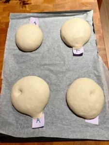 Four pale shio pan dough balls on a grey baking sheet with purple labels, proofing on a wooden worktop in Singapore
