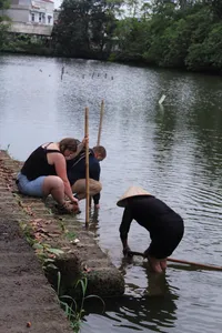 People planting rice seedlings in a shallow pond at the water’s edge near Hanoi, with bamboo poles and muddy banks