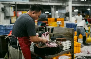Seorang penjual ikan membersihkan seekor ikan besar di meja kerja logam di pasar ikan Pelabuhan Jurong, Singapura, lalu memotongnya untuk dijual
