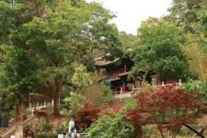 Green garden trees surrounding a traditional tiled-roof pavilion and doorway in Lijiang Old Town on a local-guided stroll