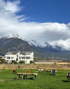 Mountain landscape behind a countryside yard with grass, buildings and roaming dogs under a bright blue sky near Lijiang