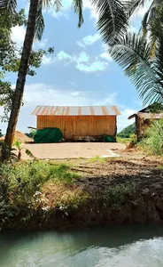 Wooden stilt house by dark water under palms, part of a village visit day trip through mangroves Labuan Bajo