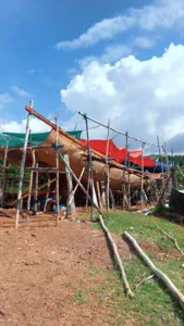 Rangka bot kayu dan jala nelayan di halaman berumput berhampiran hutan bakau yang subur di bawah awan yang dramatik, Labuan Bajo
